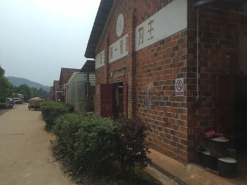 CINA Liuyang Mandarin Fireworks Co., Ltd. Profil Perusahaan