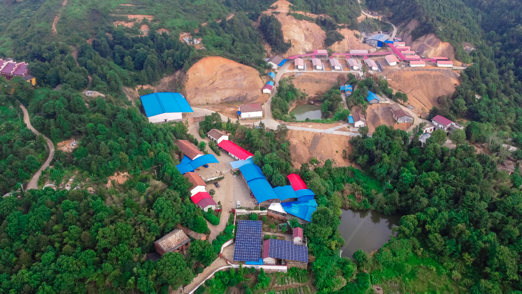 CINA Liuyang Mandarin Fireworks Co., Ltd. Profil Perusahaan