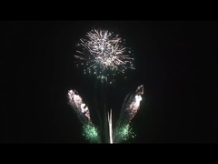 Christmas Consumer Cake Fireworks 99 Shots 30*36*225mm