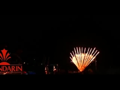Cina Fireworks kembang api Pyrotechnics 13 tembakan W / I / V bentuk