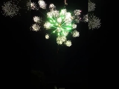 Perayaan Konsumen Kue kembang api di luar ruangan Kembang api besar Pyrotechnics