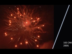 Mandarin 2021 Baru 16 tembakan 200g Kue kembang api untuk pesta perayaan