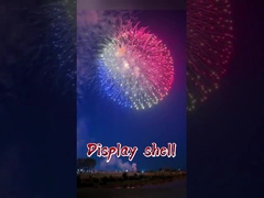 Liuyang Mandarin Pyrotechnics 4' 6' 8 Inch Display Shell Fireworks1.3G Profesional Fireworks