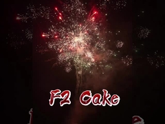 LiUyang Factory Disesuaikan F2 Cake Fireworks Direct China Impor Kue Kembang Api Grosir Grosir
