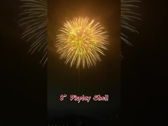 Festival dan Perayaan 2