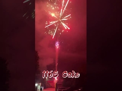 Pabrik Liuyang 116 tembakan kembang api Grosir kembang api Cina Kembang api kue luar ruangan