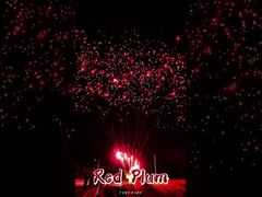 Persediaan Kembang Api Liuyang 56 Tembakan Salut Kue Luar Ruangan Baterai Kembang Api Plum Merah Piroteknik