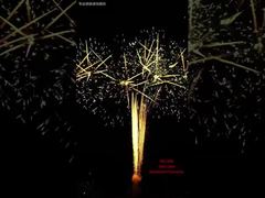 Acara Pertunjukan Kembang Api Kue Festival 100 Tembakan Luar Ruangan Profesional Kembang Api Piroteknik 1.3G