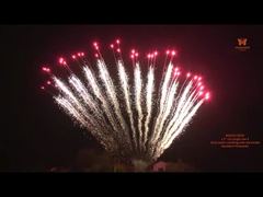 Cina 1.2 Inci 13 Tembakan Baris Tunggal Bentuk S 1.3G Kue Kembang Api Kembang Api Profesional yang Dapat Disesuaikan