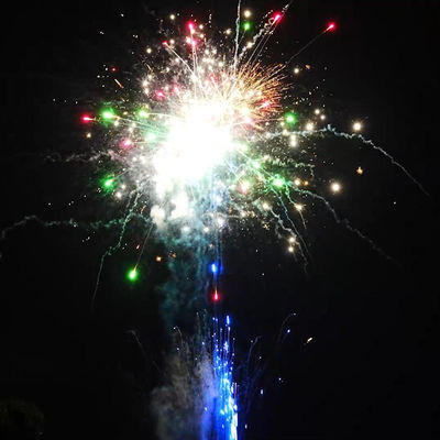 Liuyang Custom Pyrotechnics 100 Shots Fireworks New Year Chinese Outdoor Classic 1.4 Pro Cake Fireworks 2025 For Celebration