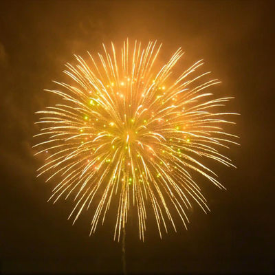 Chinese Factory 2" 2.5" 3" 4" 5" 6" 8'' Display Shells 1.3g Professional Fireworks for Festivals And Celebrations