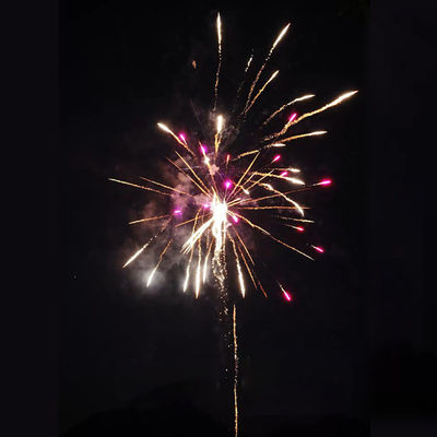 Chinese Factory Cheap Price Fireworks Liuyang 100 Shots 1.4G Consumer Cake Fireworks Importing Fireworks From China