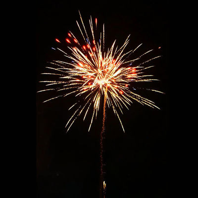 Liuyang Pyrotechnics 100 Shots Consumer Wholesale Cake Fireworks 2025 New Fireworks In Amazing Effect Fireworks Cake