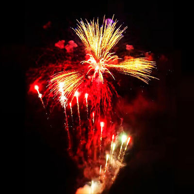 Customized 178 Shots Pyrotechnics 1.4G Cake Fireworks for Year Celebration 2025 in Liuyang Mandarin