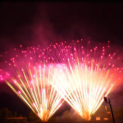 Liuyang Mandarin Huge Pyrotechnics 0.8 Inch 300 Shots Golden Willow Purple Beads 1.3g Un0335 Professional Big Fireworks Cake