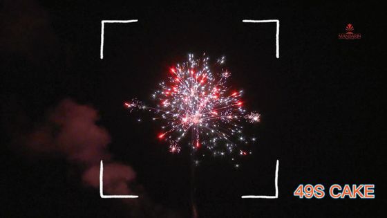 Chinese Liuyang 49 Tembakan Konsumen Kue Kembang Api 2022