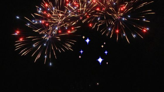Chinese 25 Shots Fan Cake Fireworks Untuk Perayaan Kembang Api Kustom Luar Ruangan