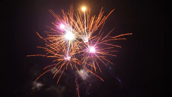 Pyrotechnic 21 Shots Good Effects Outdoor Cake Fireworks For Celebration