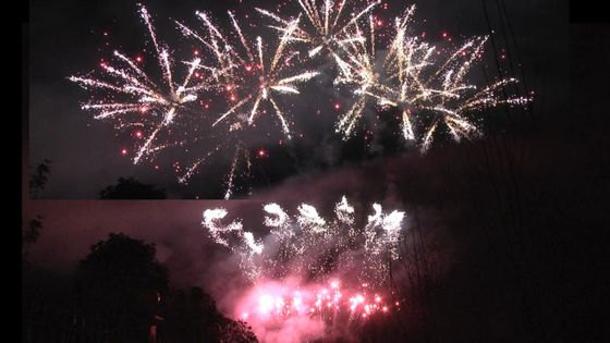 Liuyang kembang api 1.3g Un0335 Pyrotechnics 56 Shots Profesional Tampilan kembang api 1.3g Untuk perayaan festival