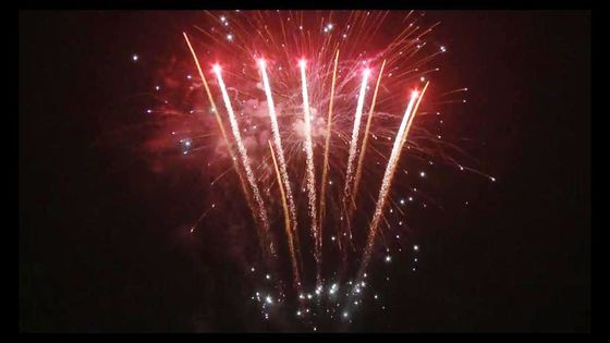 98 Tembakan Tahun Baru Petard Pyrotechnic Konsumen Kue Kembang Api Disesuaikan