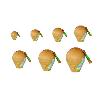 Liuyang Mandarin Professional 6 Inch Ball Display Kerang Kembang Api Untuk Perayaan Tahun Baru