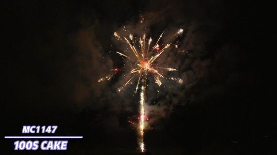 Liuyang Efek Khusus Kembang Api Kue Profesional Kembang Api 100 Tembakan