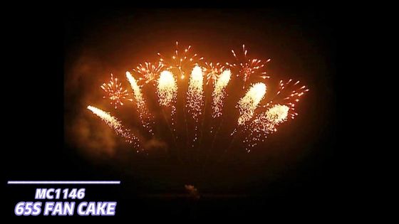 Mandarin Fireworks Pyrotechnics 65 Tembakan Kembang Api Berbentuk Kipas