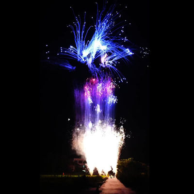 Cina Customized 100 tembakan piroteknik Konsumen Kue kembang api untuk Tahun Baru