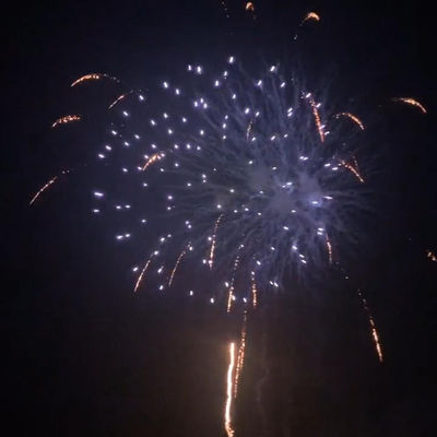 Cina 25 tembakan Kue kembang api Pyrotechnic Untuk Perayaan Pertemuan