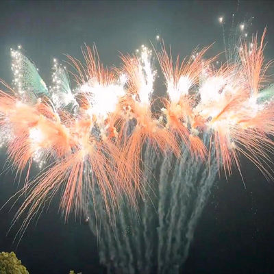 Kembang Api Kue Cina Jenis Festival Perayaan Pyrotechnics Kembang Api Luar Ruang 2024