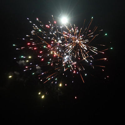 Cina Pyrotechnics Outdoor Konsumen Kue kembang api 49 tembakan