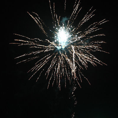 Cina 60 tembakan Kue kembang api Jenis Festival Perayaan Pyrotechnics Outdoor 2024