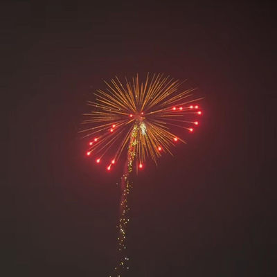Mandarin Profesional 1.3g Pyrotechnics Petasan Artileri Salute Shell Canister 4 Inch Display Shells Petasan