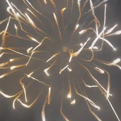 Cina Profesional Tampilan kembang api Mortar Artileri Shell Pyrotechnics Perlengkapan 6 Inch Tampilan Shell 2024