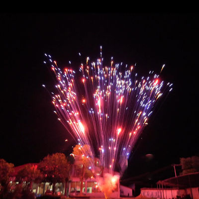 Kembang api Pyrotechnics Pabrik Cina 1.2 Inch 24 Shots Kue kembang api untuk perayaan 1.4g Un0336 Pyrotechnics