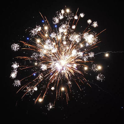 Grosir Outdoor Pyro 1000G Keke Kembang Api 2 Inch 56 Shots Perayaan Pernikahan 1.4 Pro Kembang Api