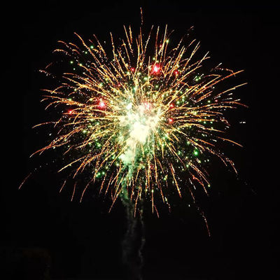 Custom 200 Shots 1000G Cake Fireworks 1.4 Pro Cake Pyrotechnic Untuk Pasar AS 2025 China Grosir