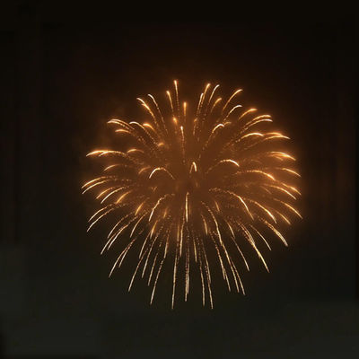 Liuyang Kualitas Tinggi 1.3G Professional Mortar Pyrotechnic Display Artileri Peluru Api Untuk Dijual Peluru Api Shell