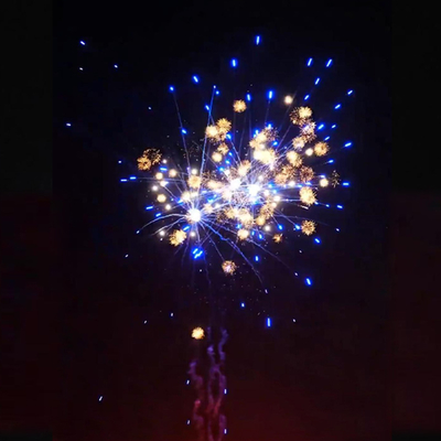 Pabrik Cina 1.4g Custom Fireworks Liuyang 1.2''Inch Cute Chrysanthemum Baru Konsumen Kue Fireworks Pernikahan Pyrotechnics