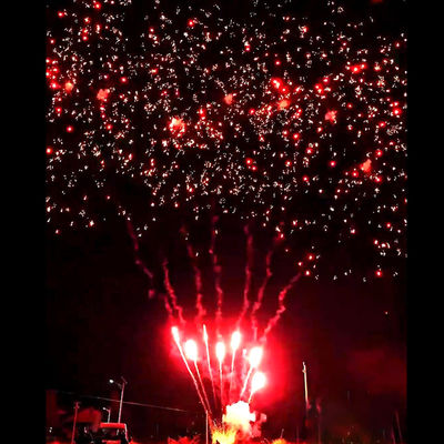 Kembang Api Liuyang Perlengkapan Mandarin Baru Panas Kembang Api 56 Tembakan Hormat Kue Luar Ruangan Baterai Kembang Api Plum Merah Kembang Api