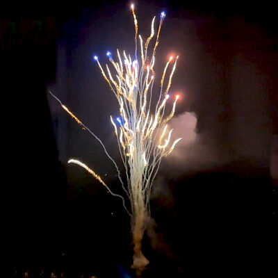 Pabrik Cina Custom 100 tembakan serigala menjerit kue kembang api grosir pyrotechnics kembang api baru untuk tahun baru perayaan pernikahan natal