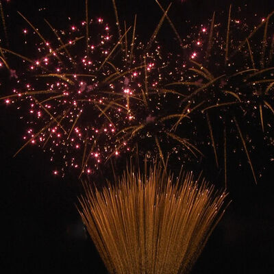 1.2 Inch 100 Shots Kue kembang api 1.3G Profesional UN0335 Sertifikasi Pyrotechnics untuk Perayaan Luar Ruang