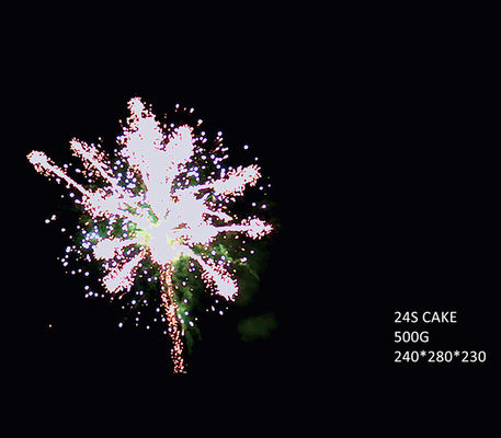 Liuyang 24 Fireworks Shots 500G Cake Dengan Kualitas Tinggi Disediakan Pabrik Kembang Api